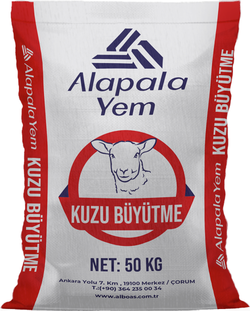 KUZU BÜYÜTME