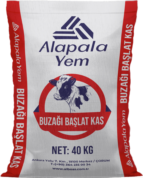 BUZAĞI BAŞLAT KAS (MAYALI)