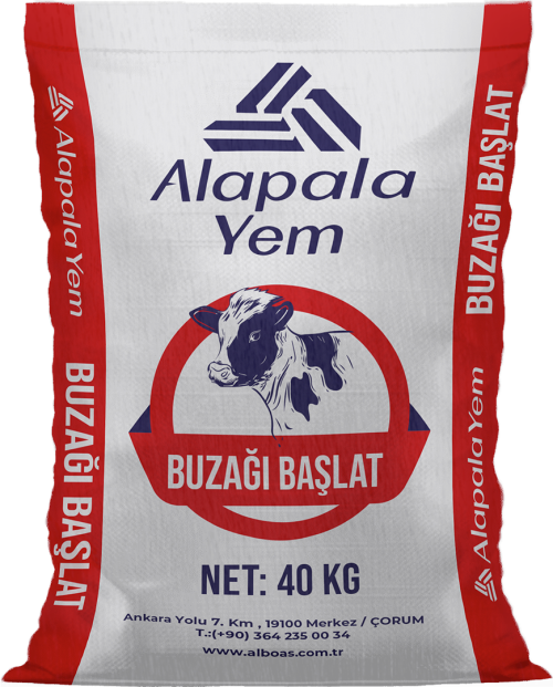 BUZAĞI BAŞLAT